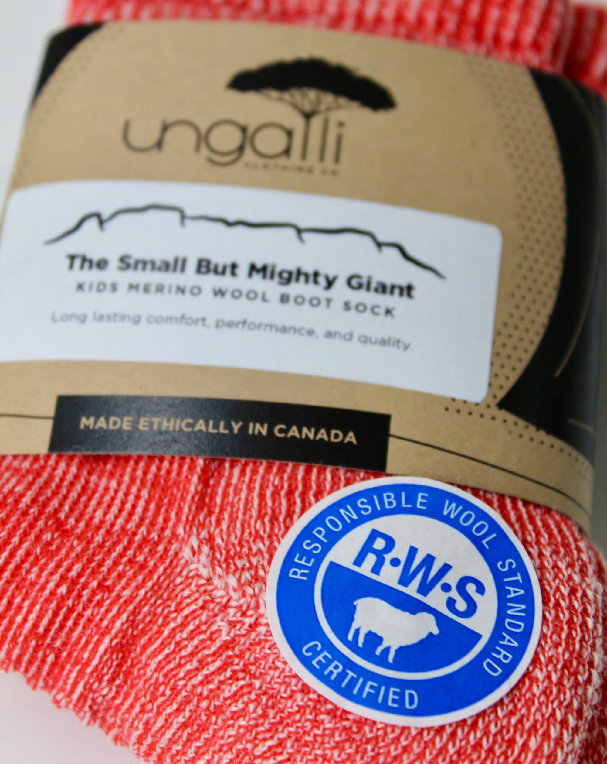 The Small But Mighty Giant Kid’s Socks