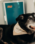 Dog bandana available in multiple colours with white adventure club logo