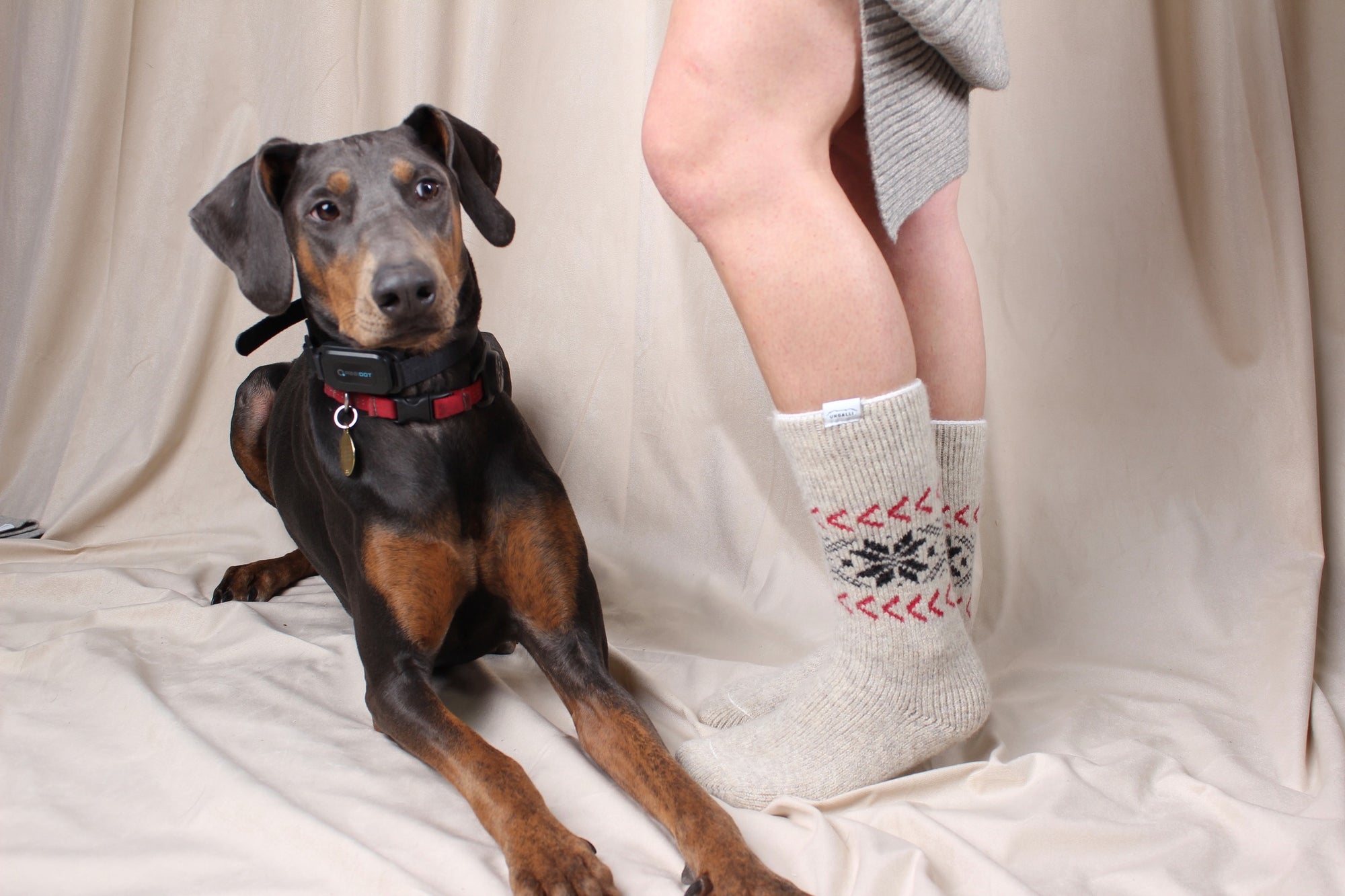 The Frozen Giant Socks